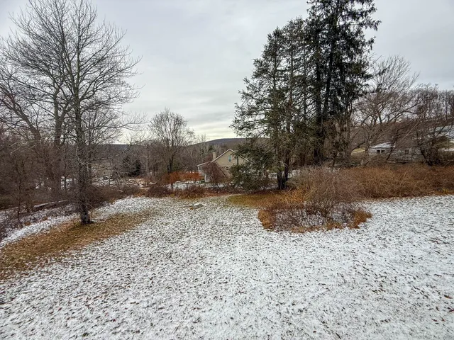 a view of outdoor space with trees