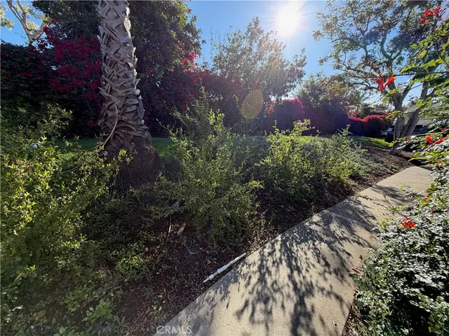 a view of a garden with plants and a bench