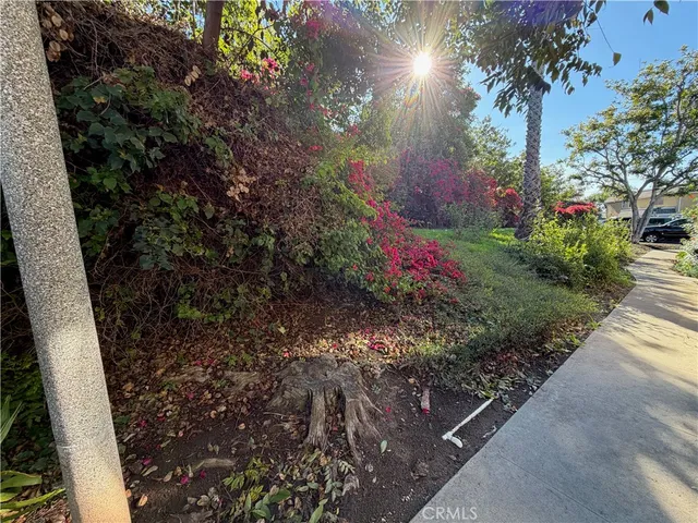a view of a pathway with a tree