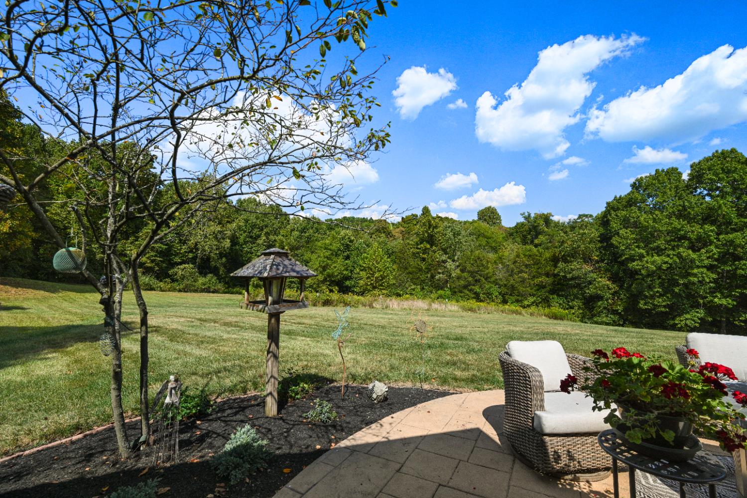 12656 Asche Road Sunman, IN 47041 - Photo 64 of 82 View of the lawns & natural grasses for wildlife feeding from the patio