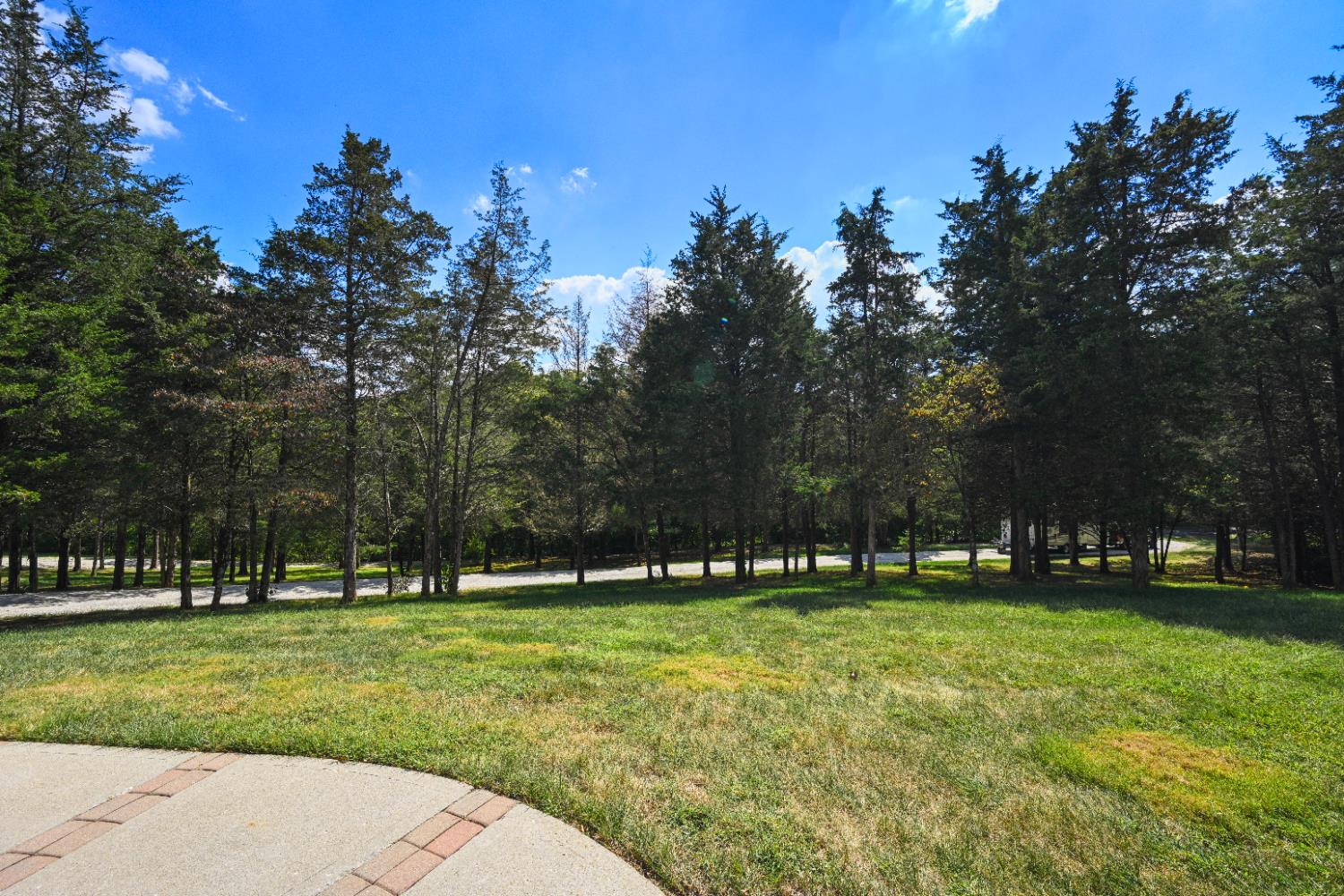 12656 Asche Road Sunman, IN 47041 - Photo 68 of 82 The main driveway curves up from from the road, surround by evergreen trees