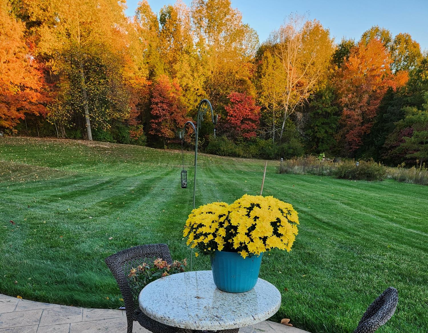 12656 Asche Road Sunman, IN 47041 - Photo 75 of 82 Fall views are spectacular!