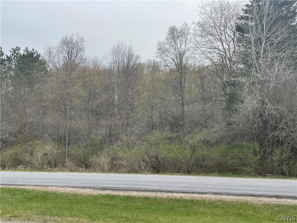 0 Brown Tract Road Remsen, NY 13438 - Photo 1 of 1 150' Frontage on Browns Tract Road