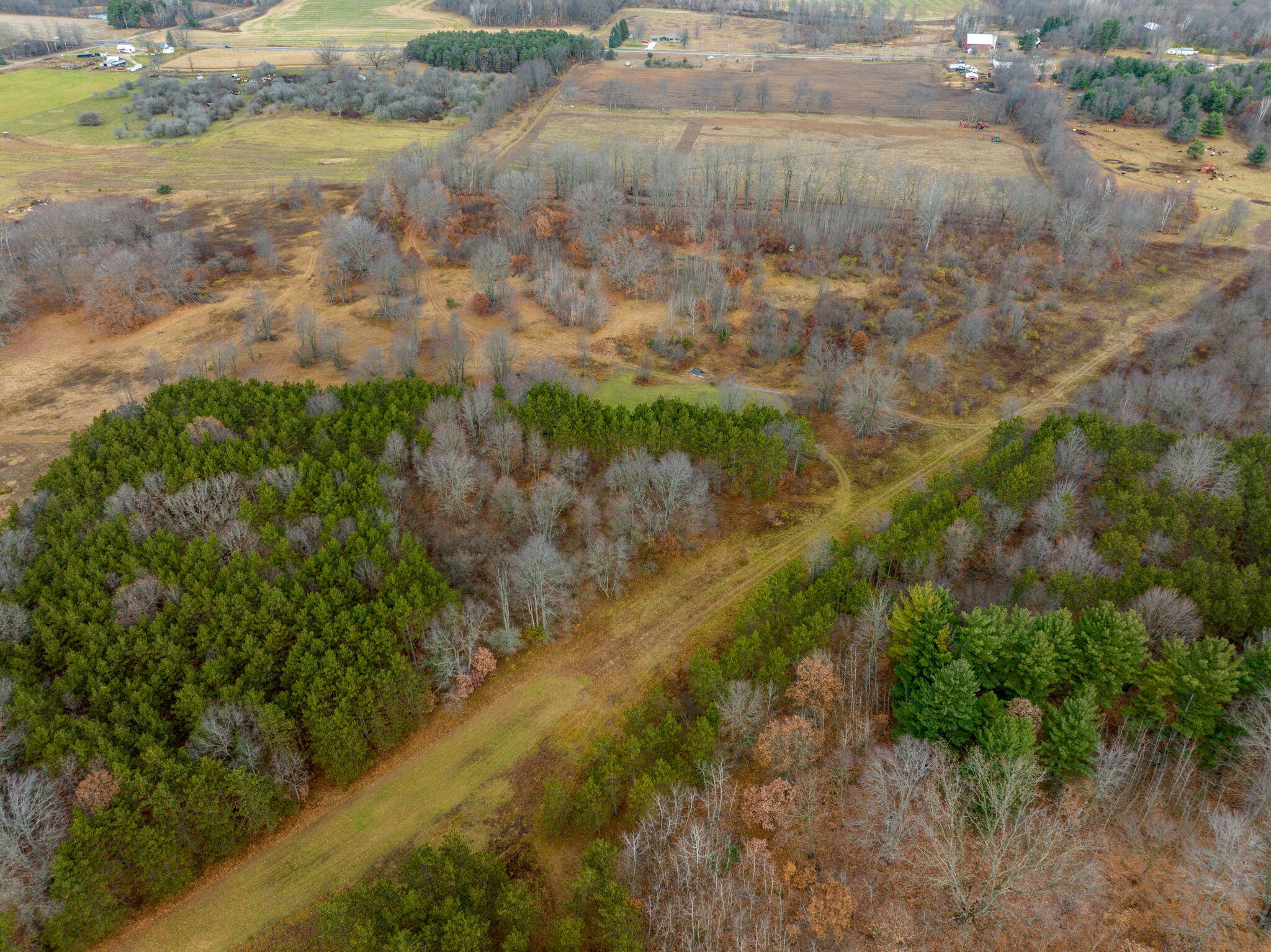 12729 McKinley Road Rodney, MI 49342 - Photo 11 of 34 9-web-or-mls-DJI_0740