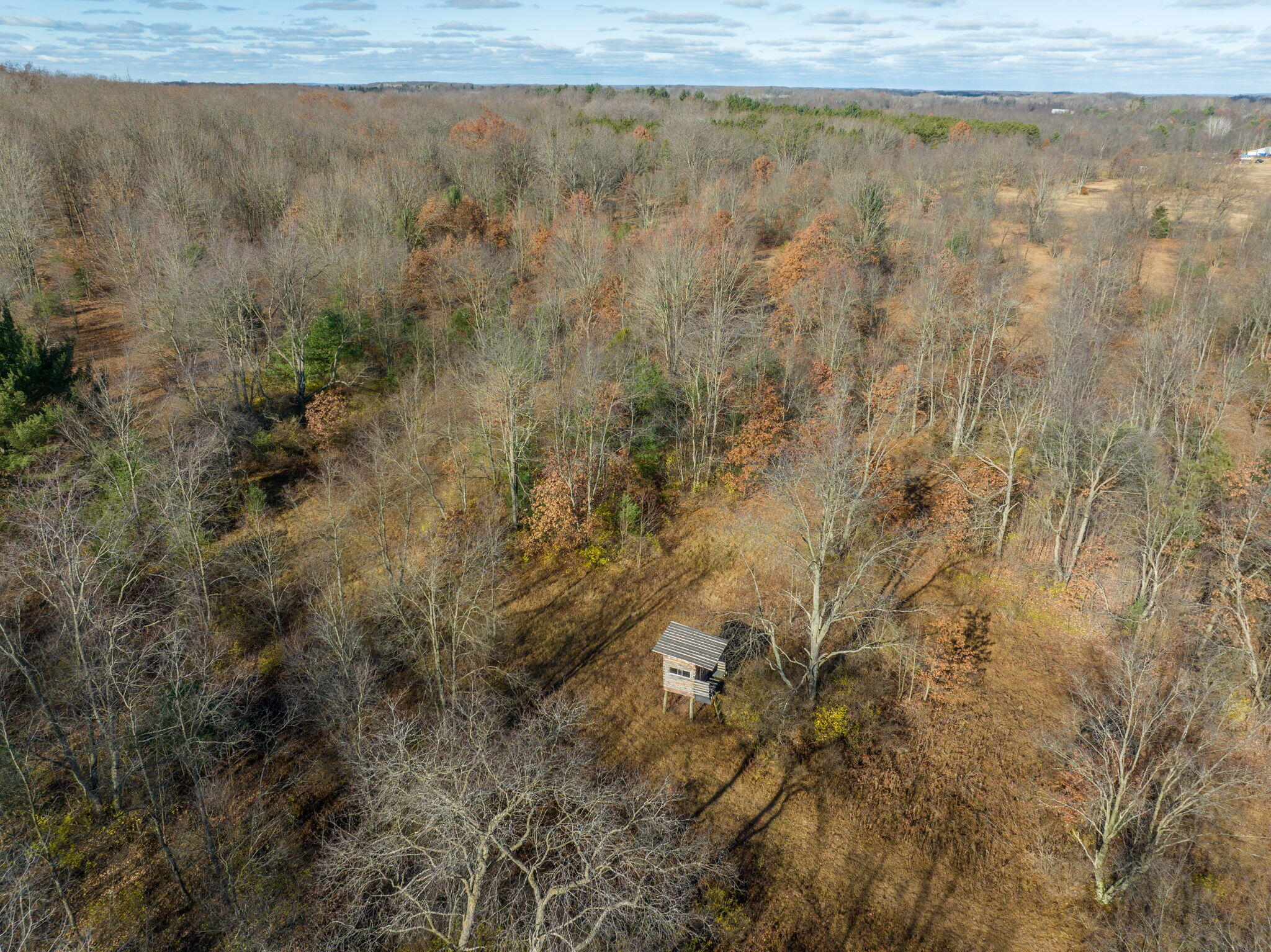 12729 McKinley Road Rodney, MI 49342 - Photo 15 of 34 13-web-or-mls-DJI_0759