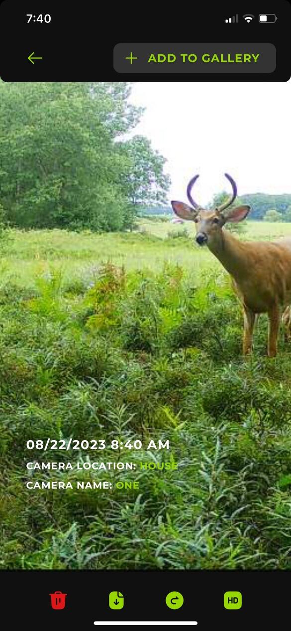 12729 McKinley Road Rodney, MI 49342 - Photo 27 of 34 IMG_0804
