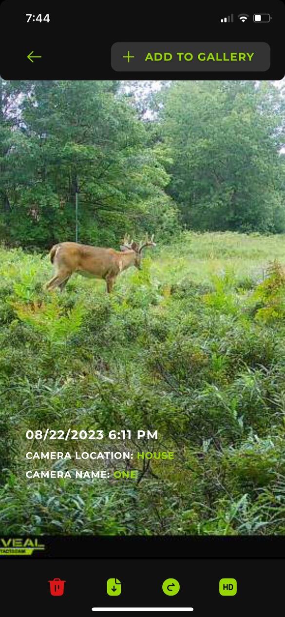 12729 McKinley Road Rodney, MI 49342 - Photo 28 of 34 IMG_0805