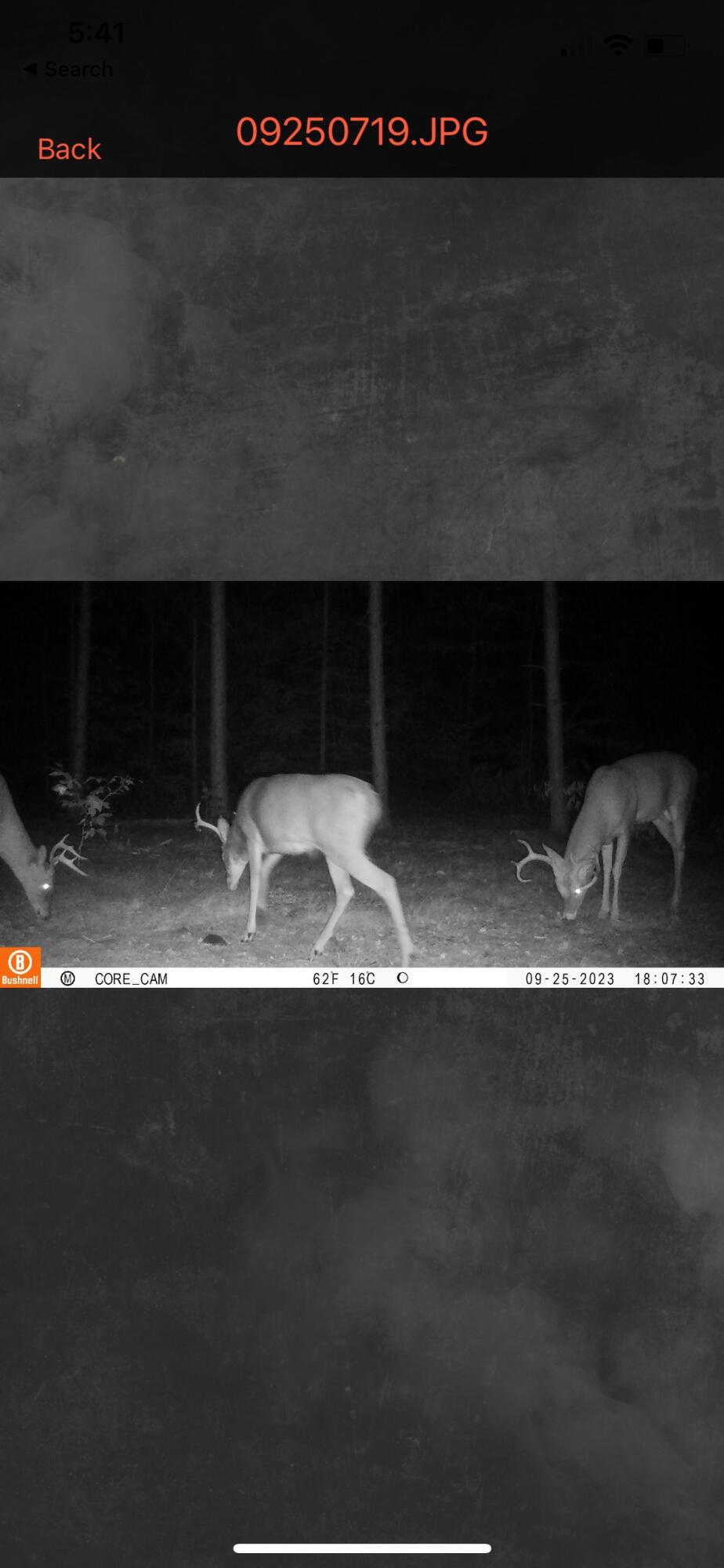 12729 McKinley Road Rodney, MI 49342 - Photo 33 of 34 IMG_0868