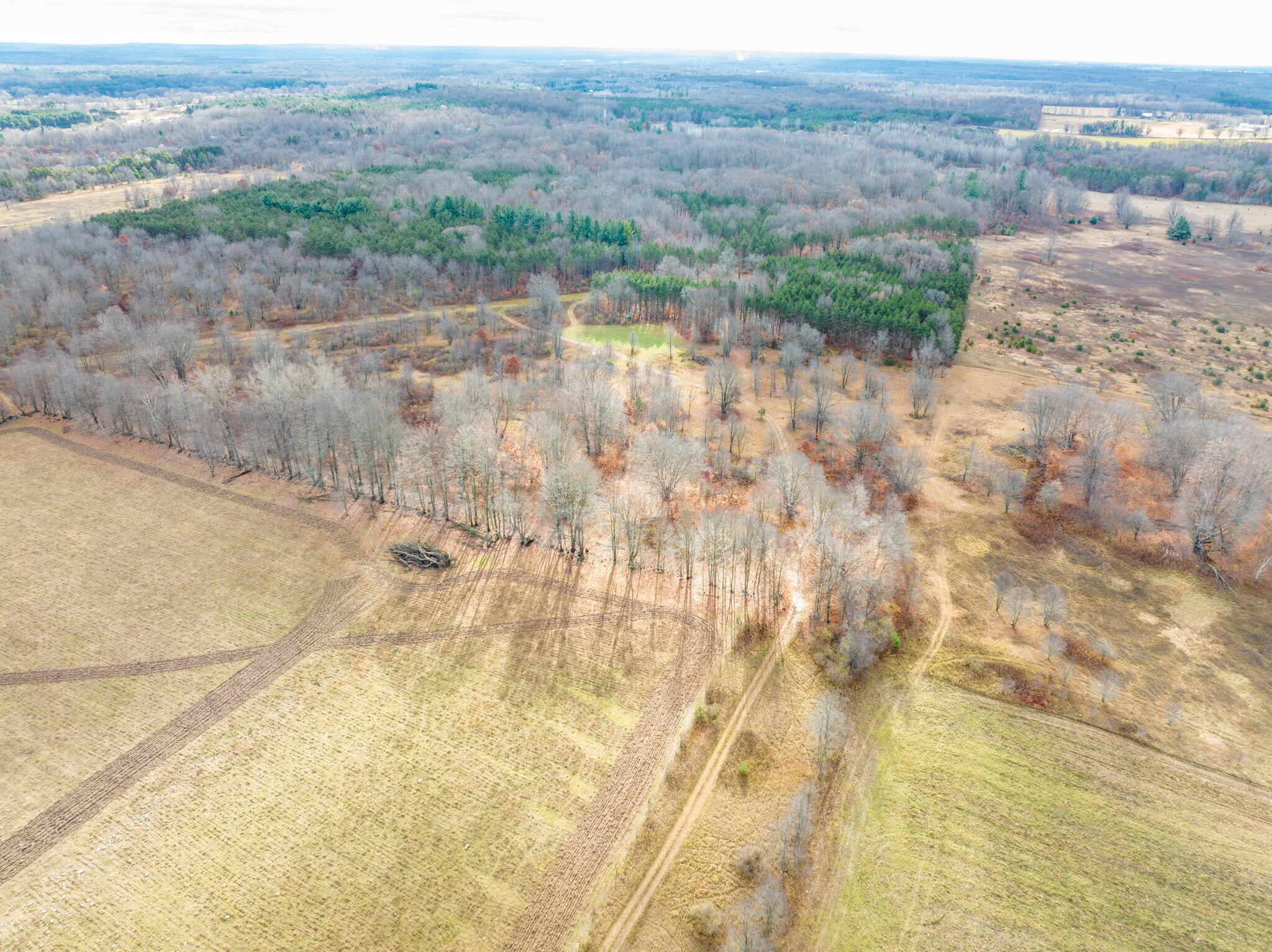 12729 McKinley Road Rodney, MI 49342 - Photo 6 of 34 4-web-or-mls-DJI_0717