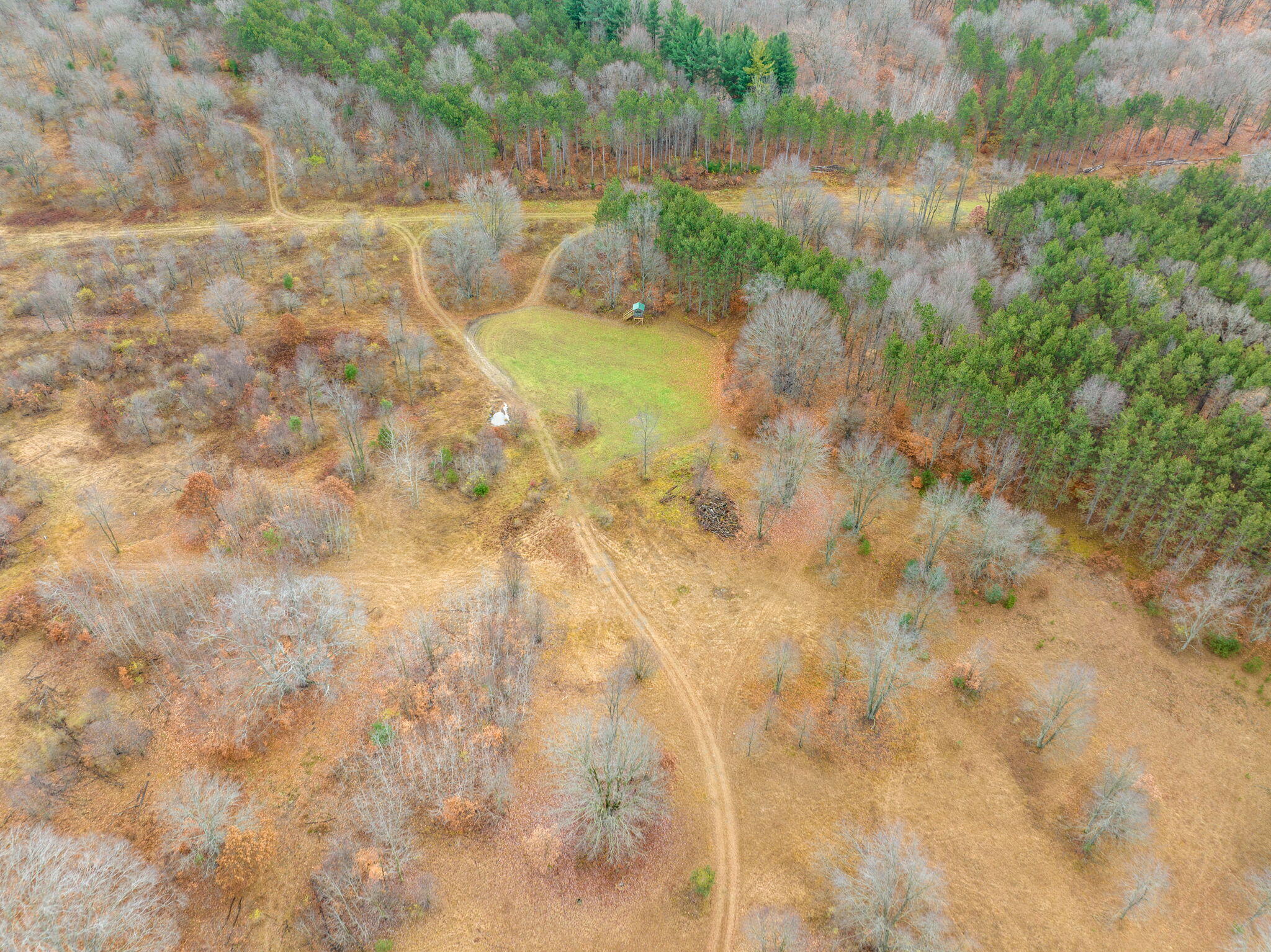 12729 McKinley Road Rodney, MI 49342 - Photo 8 of 34 6-web-or-mls-DJI_0726-Edit