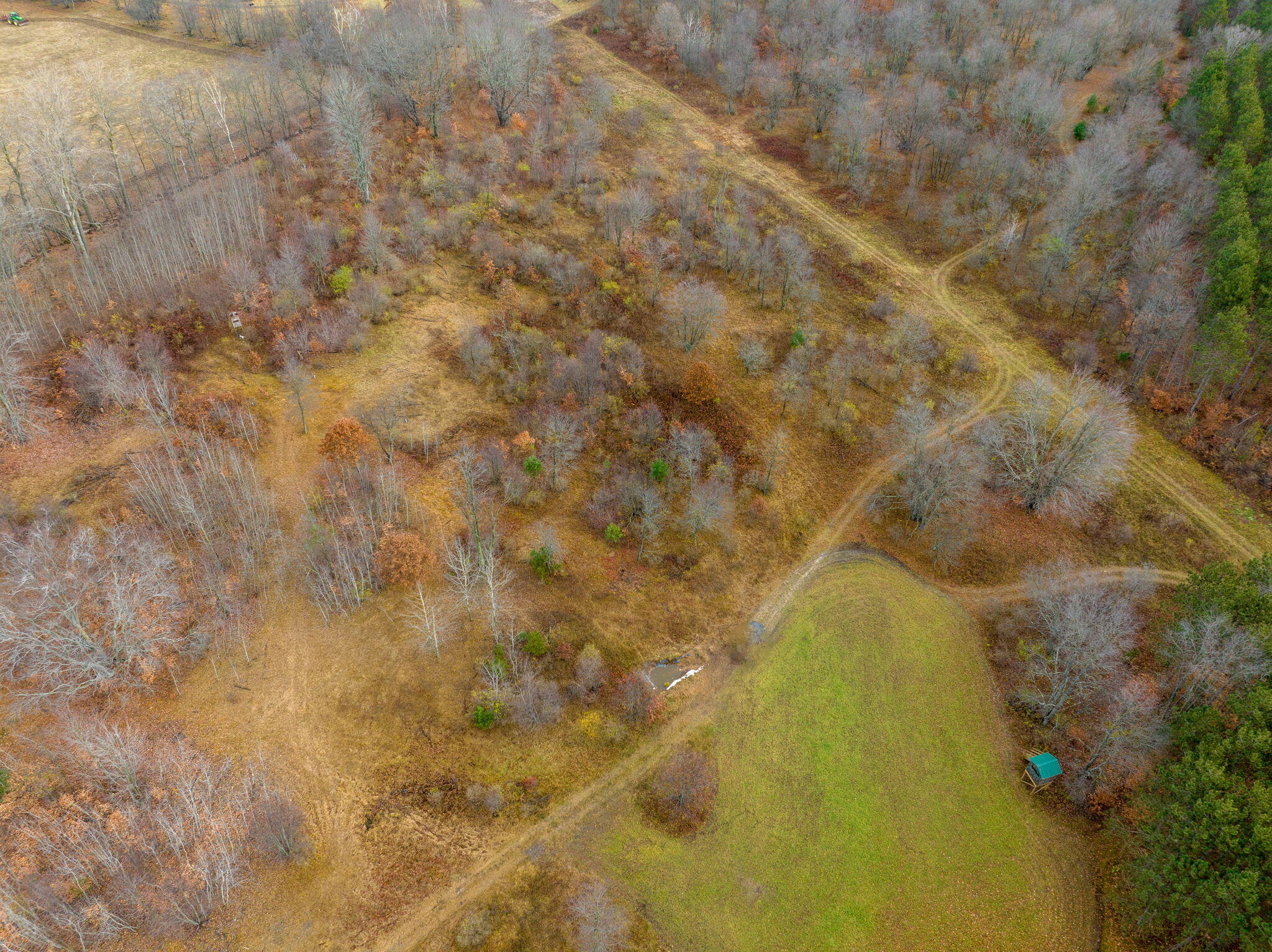 12729 McKinley Road Rodney, MI 49342 - Photo 9 of 34 7-web-or-mls-DJI_0731