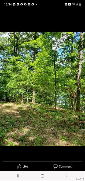 229 Anthonies Mill Road Bourbon, MO 65441 - Photo 36 of 41 Gallery Image 36