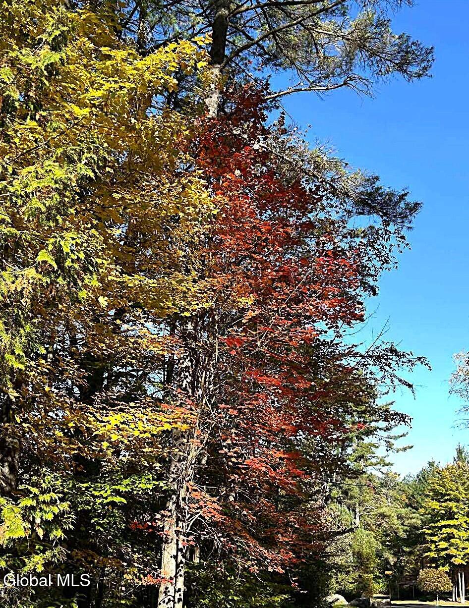 13 B Hummingbird Circle Horicon, NY 12808 - Photo 56 of 65 542635634_1685294262159169_5928858628390