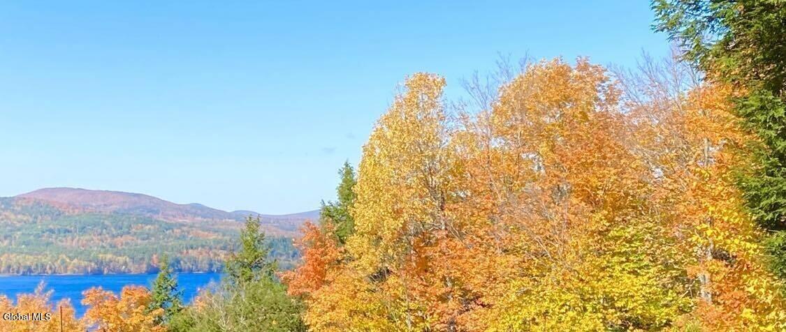 13 B Hummingbird Circle Horicon, NY 12808 - Photo 63 of 65 20230527001754157512000000-o