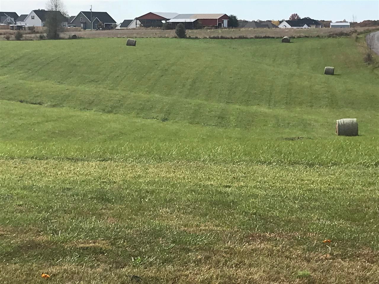 Tract #2 West G Talley Road Alvaton, KY 42122 - Photo 4 of 11 Gallery Image 4