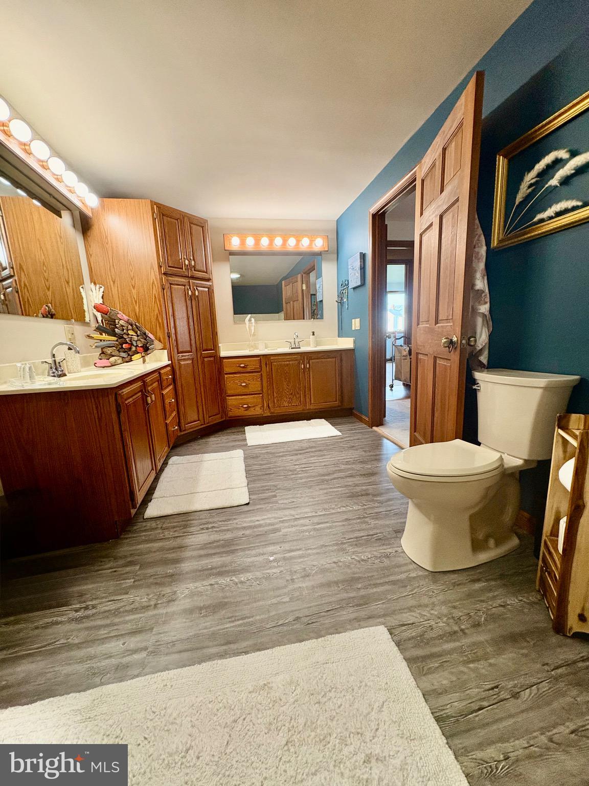 20949 Somers Road Ewell, MD 21824 - Photo 38 of 55 Primary bathroom