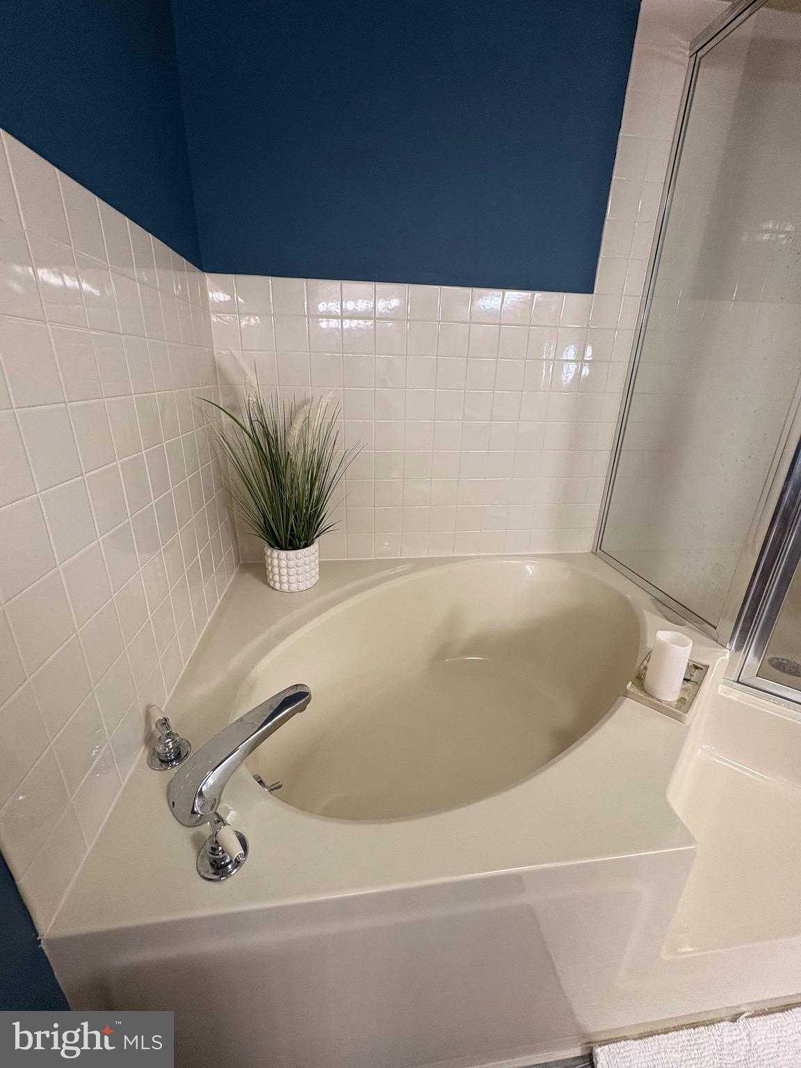 20949 Somers Road Ewell, MD 21824 - Photo 39 of 55 Garden tub and stall shower