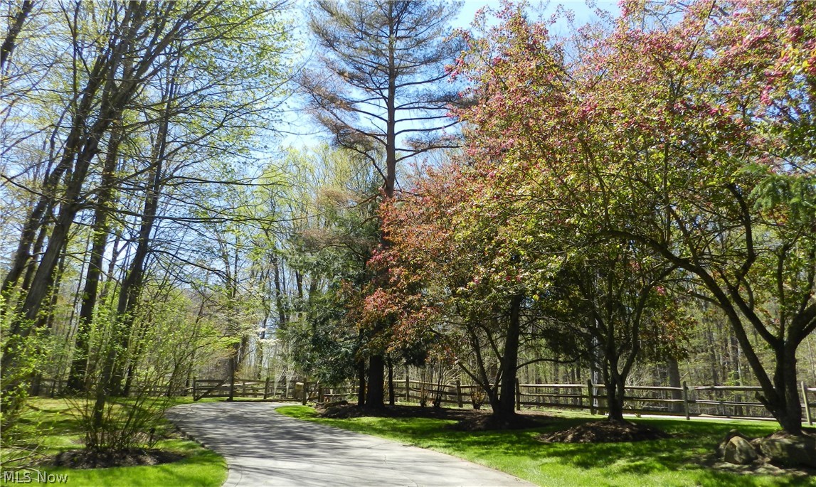13419 County Line Road Chesterland, OH 44026 - Photo 21 of 21 The view from the street as you enter the drive for 13419 County Line. Your privacy is complete and the drive into and out of your property is beautiful all seasons of the year.