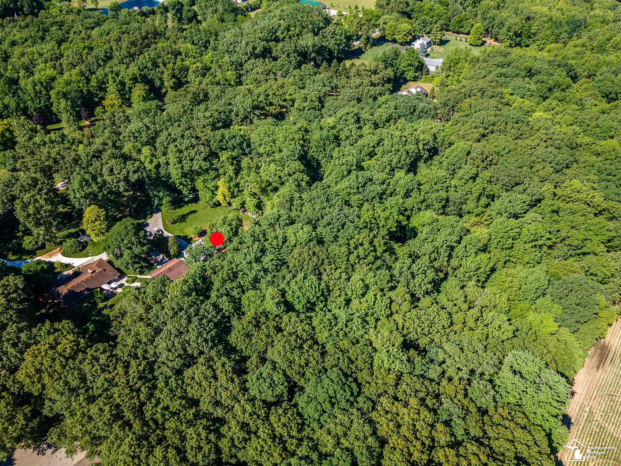4496 School Road Temperance, MI 48182 - Photo 45 of 48