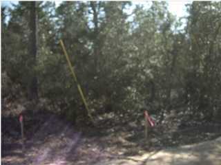 8 East Picasso Road DeFuniak Springs, FL 32433 - Photo 1 of 1 Gallery Image 1