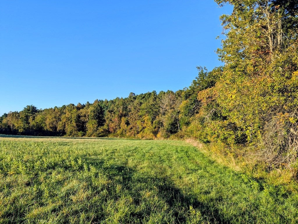 Tbd Daniels Run Road Northeast, Unit 1 Check, VA 24072 - Photo 8 of 24 Gallery Image 8