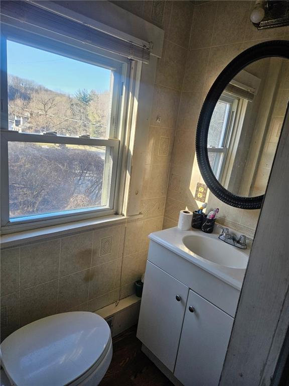 143 Whitestown Road Lyndora, PA 16045 - Photo 11 of 18 a bathroom with a sink a toilet and a mirror