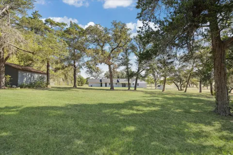 a huge green field with lots of trees