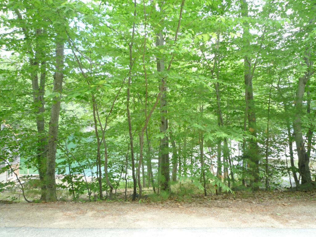 North Shore Road New Durham, NH 03855 - Photo 2 of 4