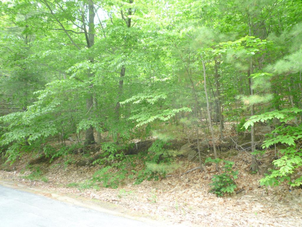 North Shore Road New Durham, NH 03855 - Photo 3 of 4