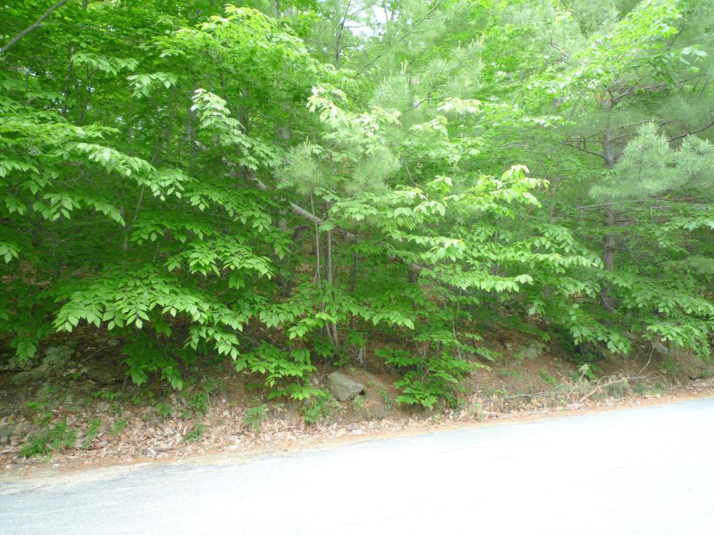 North Shore Road New Durham, NH 03855 - Photo 4 of 4