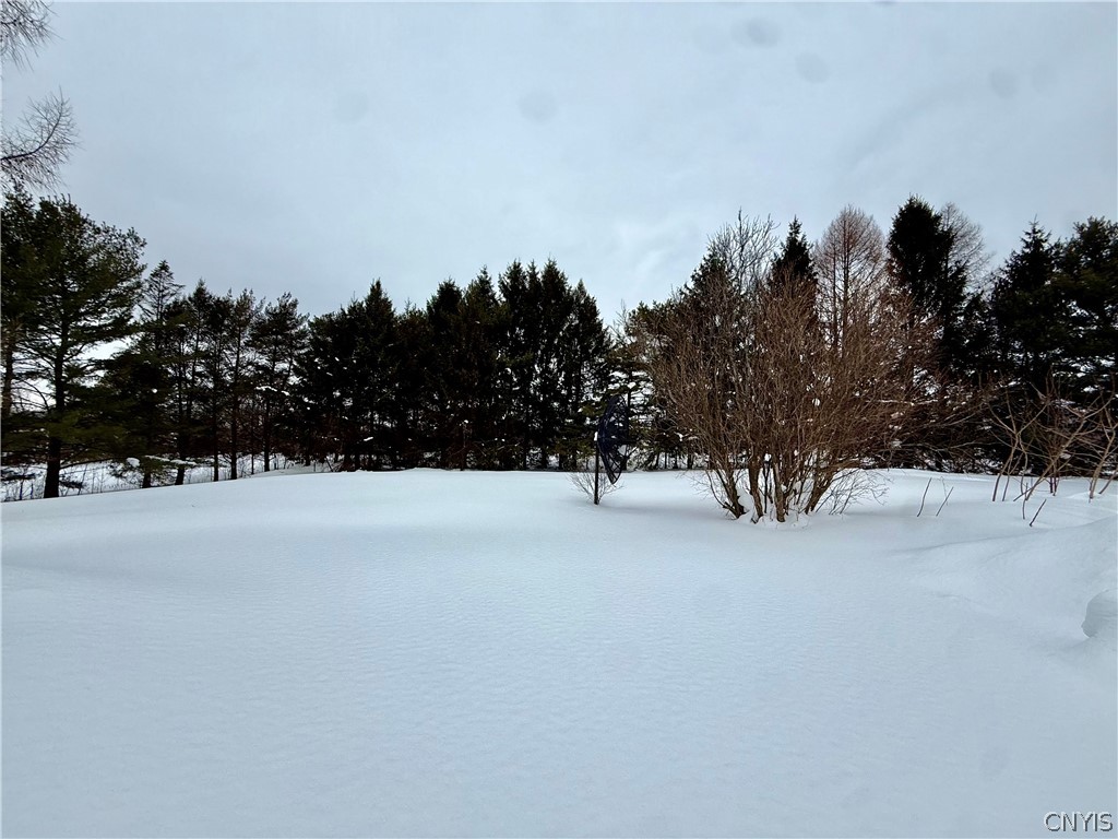 120 Edwards Road Lacona, NY 13083 - Photo 30 of 33