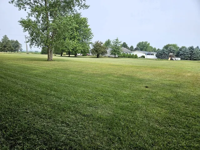 a view of a green field with trees in the background