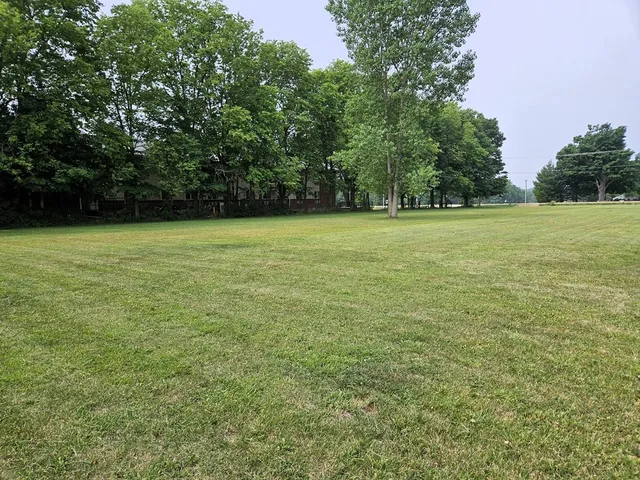 a view of a field with trees