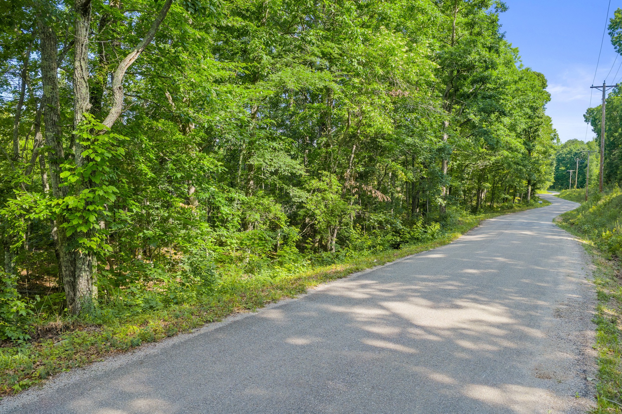 0 Coxburg Road North Holladay, TN 38341 - Photo 1 of 14 Gallery Image 1