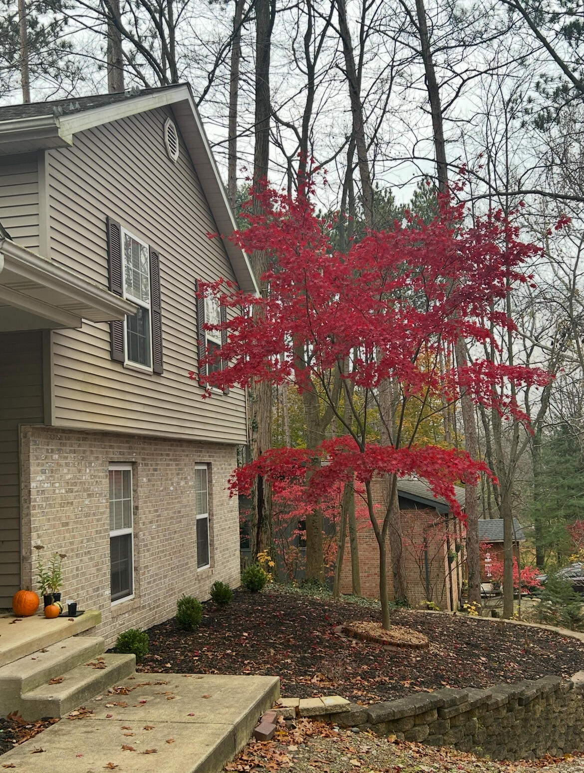 2726 North Goldring Road La Porte, IN 46350 - Photo 33 of 34 a front view of a house with a yard