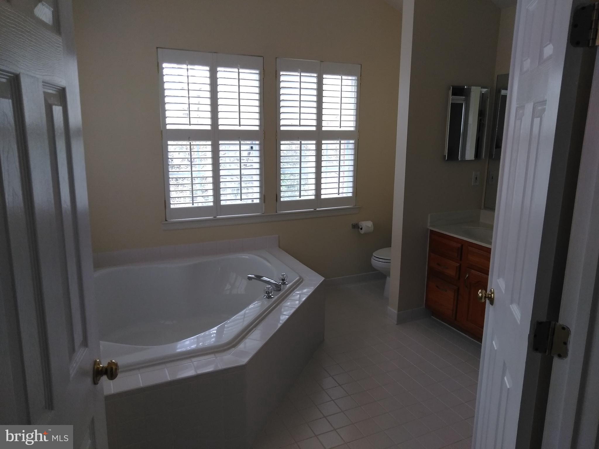 1384 Park Garden Lane Reston, VA 20194 - Photo 11 of 17 a bathroom with a tub a sink and a window