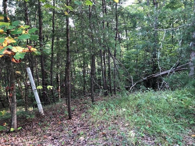 940 Beech Fork Road Clay City, KY 40312 - Photo 6 of 18 Photo 6
