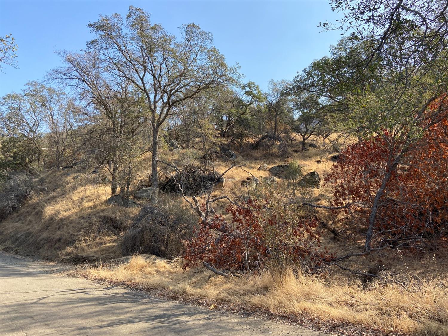 0 Three Rivers, CA 93271 - Photo 2 of 3 Gallery Image 2