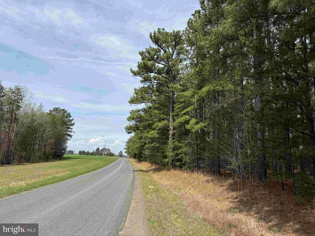 Bearskin Road Chatham, VA 24531 - Photo 14 of 15