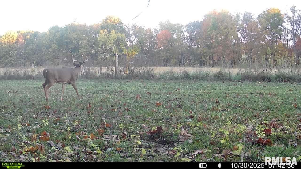 1761 Tozer Road Springfield, IL 62707 - Photo 51 of 58 Gallery Image 51
