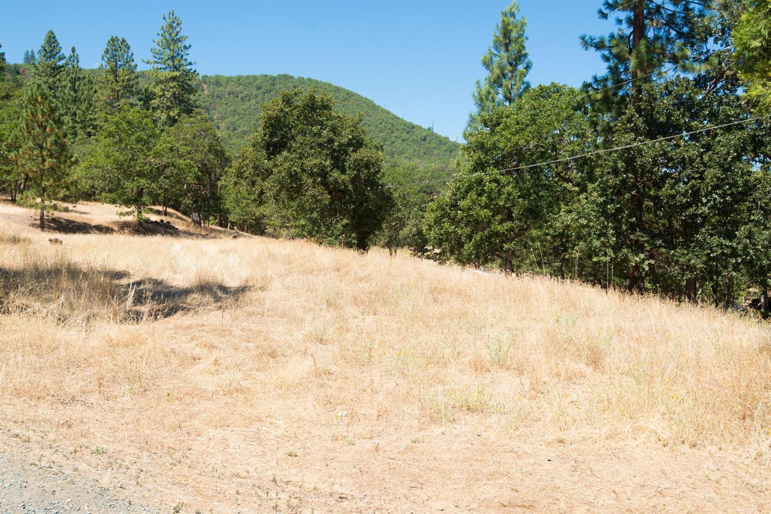 530 Hodson Road Gold Hill, OR 97525 - Photo 13 of 35 Additional Photo
