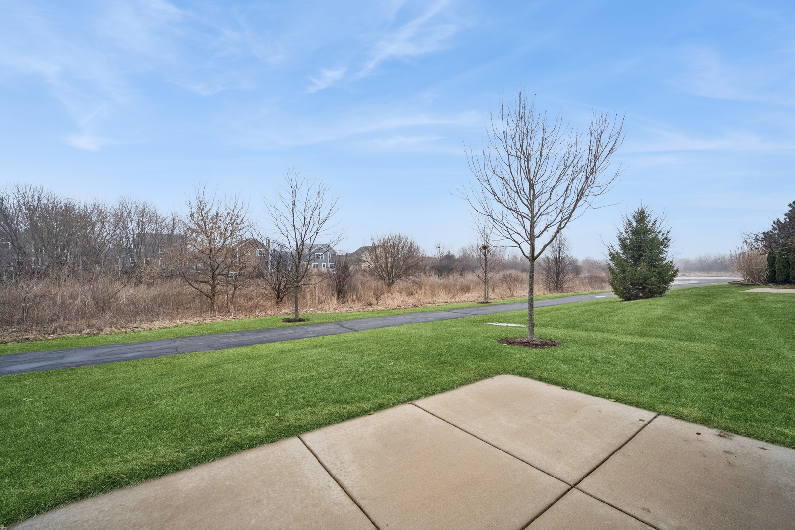 359 Copper Springs Lane Elgin, IL 60124 - Photo 18 of 23 a backyard of a house with lots of green space