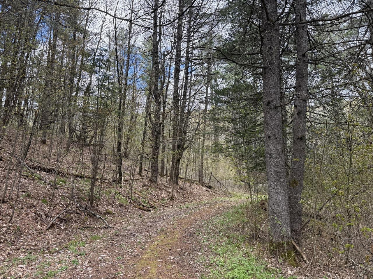 169 Jenkins Brook Road Chelsea, VT 05038 - Photo 8 of 30