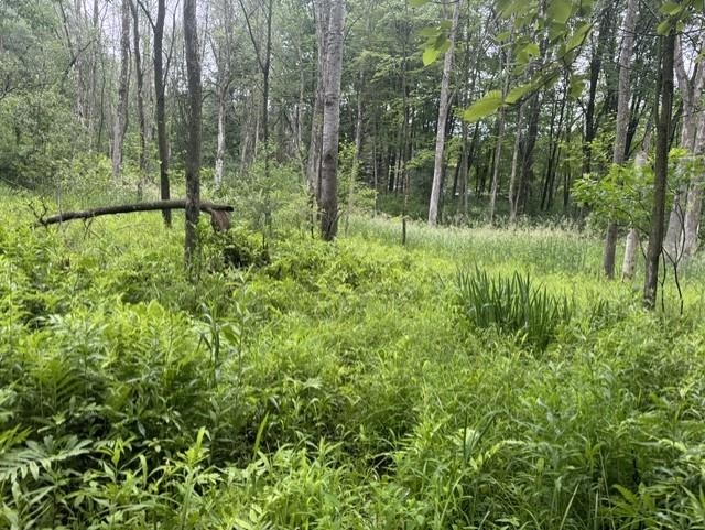 Elmwood Rd Green Green Bay, WI 54313 - Photo 4 of 16