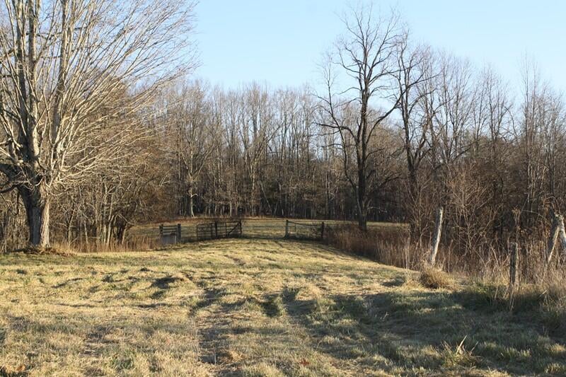 Zion Mountain Road Hinton, WV 25951 - Photo 23 of 73 Gallery Image 23