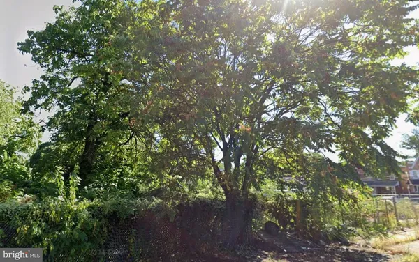 a backyard of a house with lots of trees
