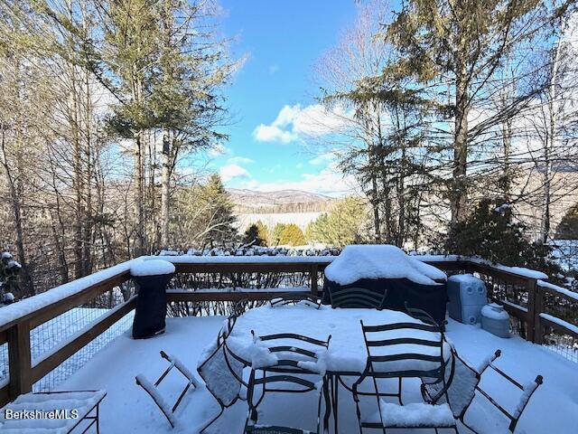 46 Corey Road, Unit 46 Hancock, MA 01237 - Photo 20 of 20 Deck
