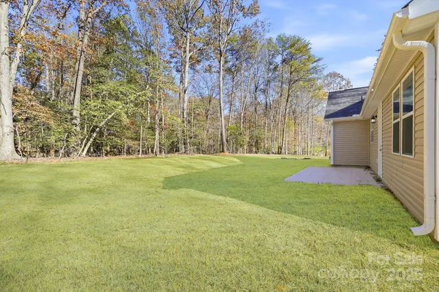 a view of a trees with a yard