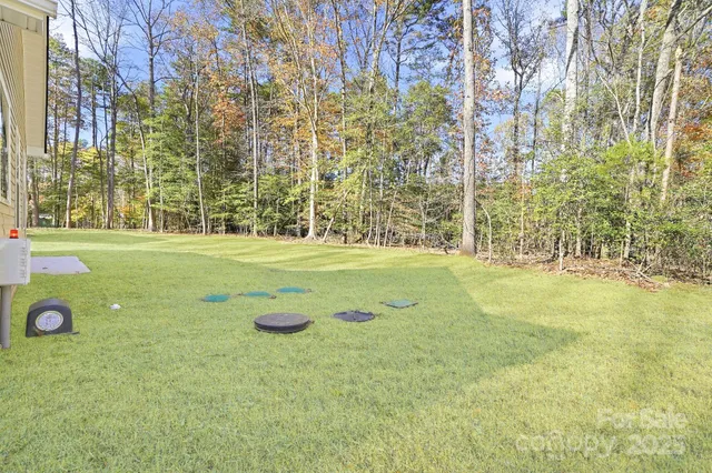 a view of backyard of house with green space