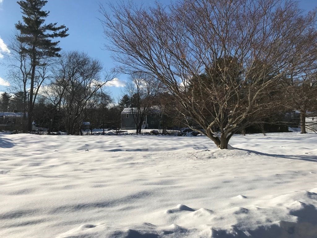 6 Belknap Road Medfield, MA 02052 - Photo 1 of 4 Gallery Image 1